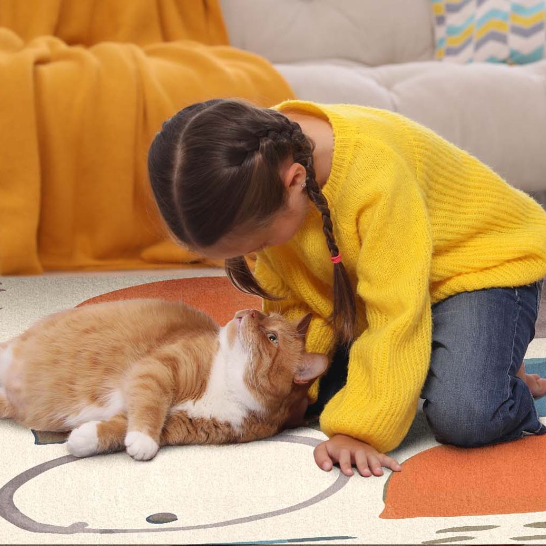 Pet Friendly Rugs